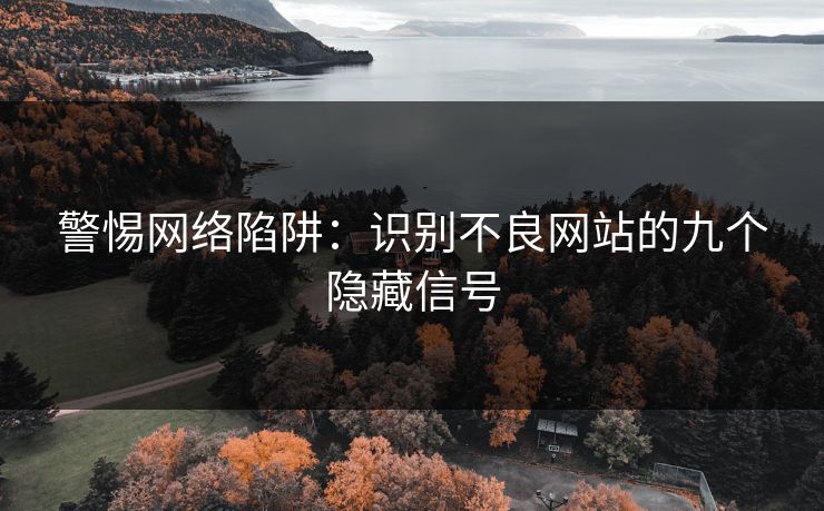 警惕网络陷阱：识别不良网站的九个隐藏信号
